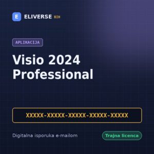 Visio 2024 Professional