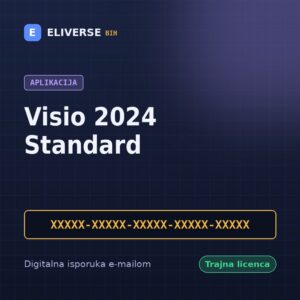 Visio 2024 Standard