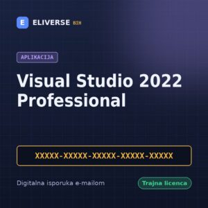 Visual Studio 2022 Professional