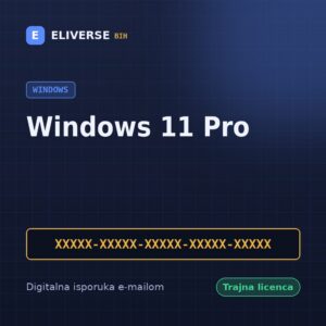 Windows 11 Pro